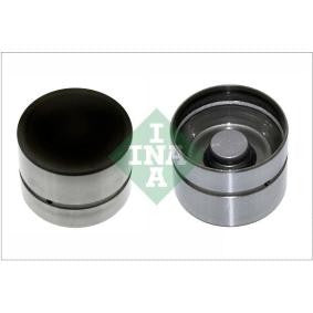 Poussoirs INA BLACK 420020910 1.9 TDi - 2.0 TDi - 1.4 TDi