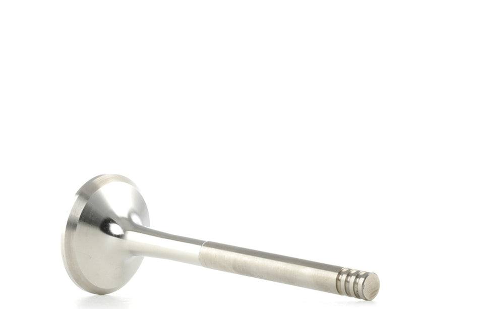 Exhaust valve FEBI BILSTEIN 1.9 TDI - 21022